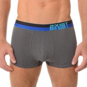 2(X)IST Black/Gray Striped Low-Rise Trunk